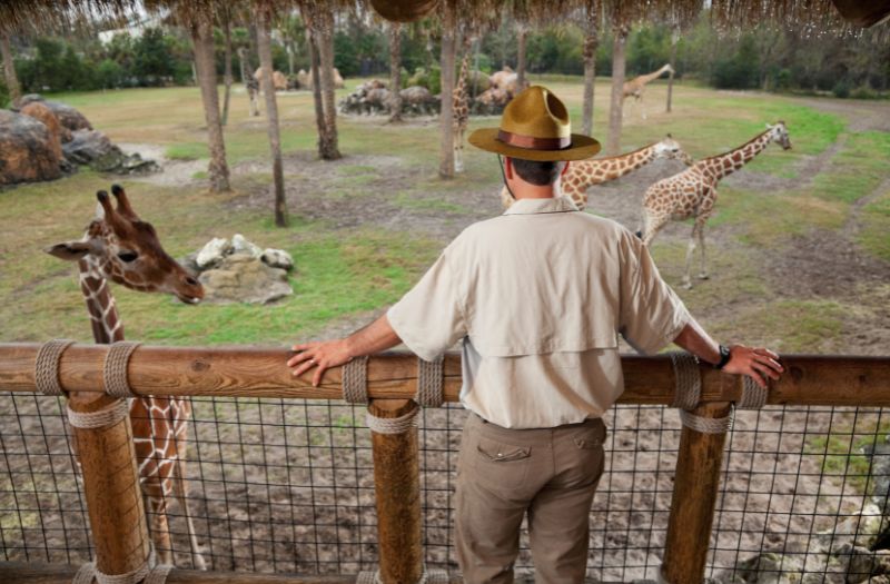 Le plus grand zoo d'Europe en 2023